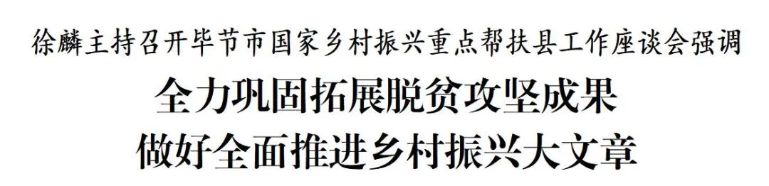 徐麟主持召开毕节市国家乡村振兴重点帮扶县工作座谈会.jpg